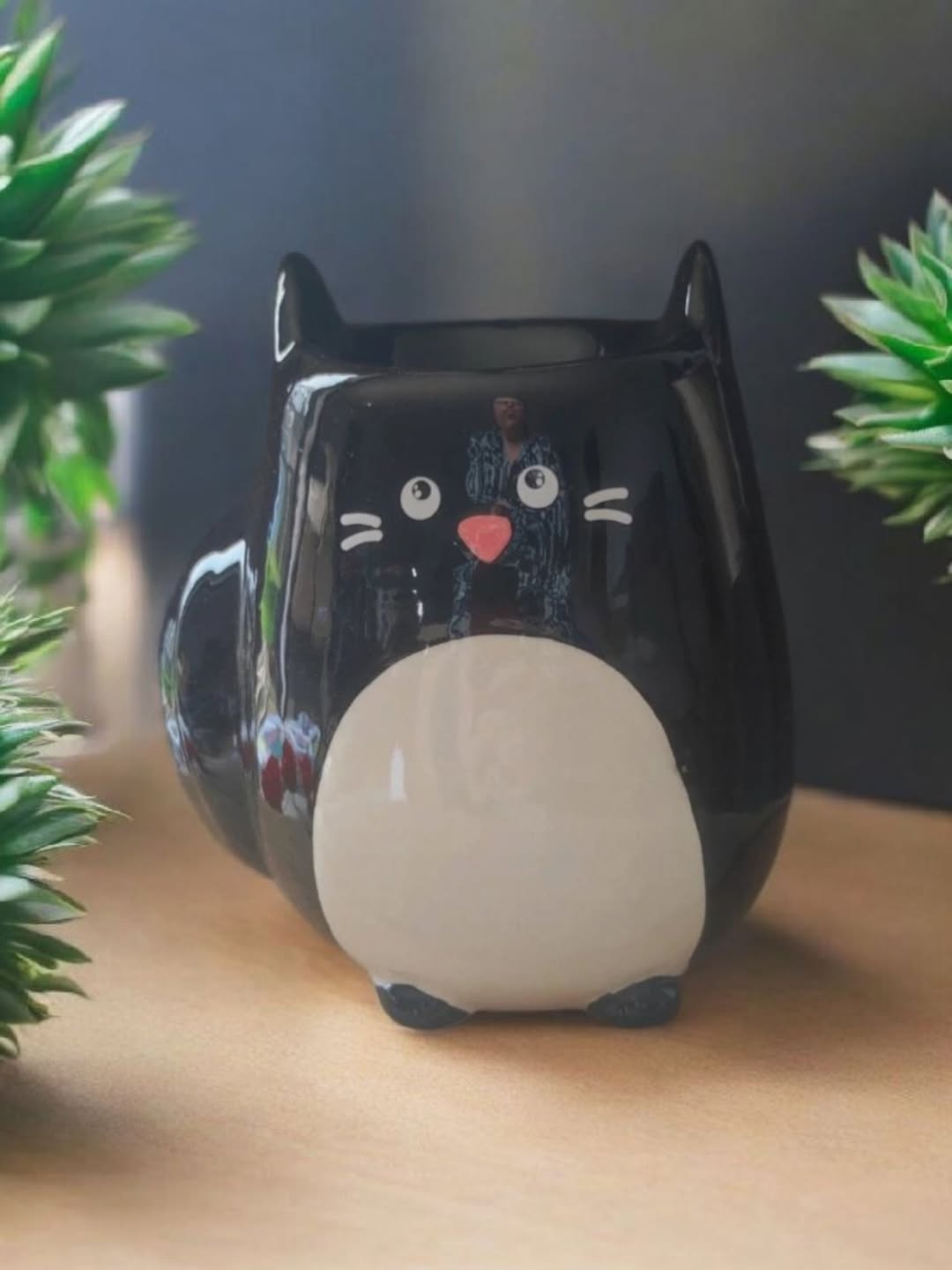 Brûleur Chat
